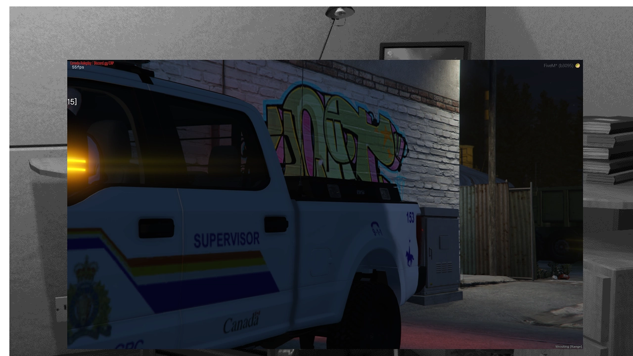Patrol Training